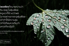 4 ธค 2541_4.1